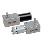 Faradyi 5840 24v Dc Worm Gear Motor 80kg.cm 12V Right Angle Gearbox Reduction
