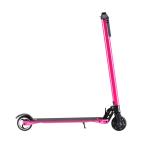 5 Inch 24V 350W 2 Wheel Foldable Electric Scooter With Samsung / Lg Lithium