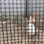 PP Biaxial Geogrid for Farm Fencing Onsite Inspection and Performance Guaranteed