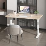 Office Metal Stainless Steel Electric Sit Stand Desk with Motorized Height