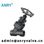 1 Inch 800Lb Pressure Seal Bonnet Globe Valve Y Type A105N F304 F316 Body