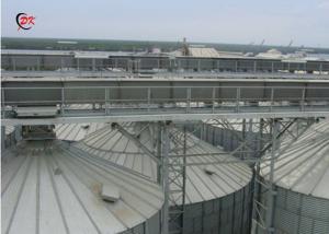 Wholesale Grain Silo Distribution Silo Chain Conveyor /Warehouse Chain Conveyor from china suppliers