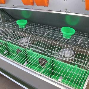 Wholesale Comfortable Smart Farm Rabbit Cage Q235 Steel Wire / Plastic Material from china suppliers