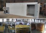 Industrial Vegetable Fruit Lemon Meat Charcoal Drying Machine