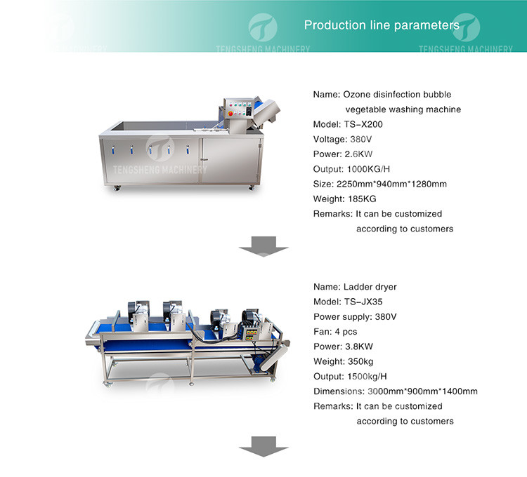 Circulating Hole Fruit Processing Line , Tengsheng Roller Conveying Vegetable Processing Line