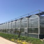 Instruction for Agricultural Glass Hydroponics System Commercial Greenhouses