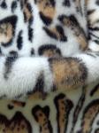 680GSM Leopard Print Polyester Fabric For Unique Fashion 100% Polyester Fabric