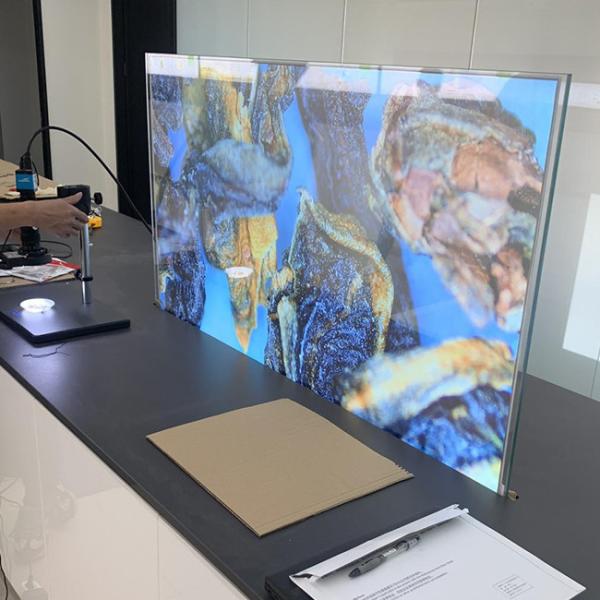 Quality 49 Inch OLED Digital Signage 1920x1080 Transparent Video Display Double Side for sale