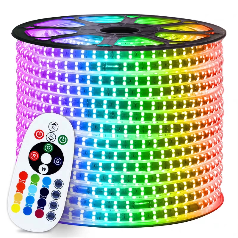 Versatile 240V/230V/110V/220V RGB 5050 Smart LED Strip Lights Plastic Body Color Change Light Strings for Landscape