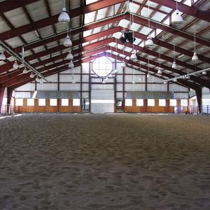Wholesale pre engineered Steel Agricultural Sheds Indoor Arena Horse Riding Arena from china suppliers
