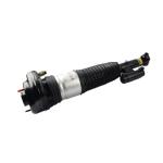 Rear Auto Suspension Parts Air Suspension Shock Absorber F3086171011 F3086171012