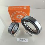 Single Row Cylindrical Roller Bearing NU/NJ/NF213ECP 65*120*23mm for Heavy