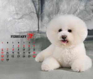 Wholesale Animal Calendar Printing, Kraft paper calendar, pop up calendar supplier, Beijing Printing company from china suppliers