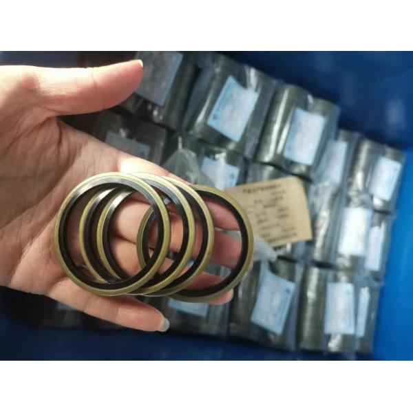 Customized Stainless Steel Rubber NBR Bonded Seal