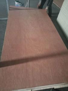 Wholesale Lightweight Poplar Core Plywood , Exterior Grade Plywood Sheets 1220*2440*2.5-18mm from china suppliers