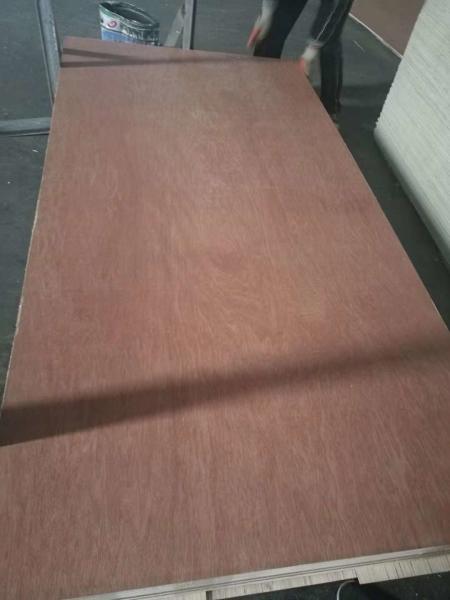 Lightweight Poplar Core Plywood , Exterior Grade Plywood Sheets 1220*2440*2.5