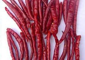 Wholesale 30000SHU Chinese Dried Chili Peppers Pungent Red Chili Pods Hot Tasty from china suppliers