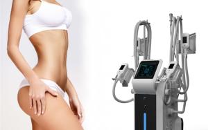 Wholesale 2018 latest Cryolipolysi Cool Shape machine Fat loss Cryolipolysis fat freezing machine Germany from china suppliers