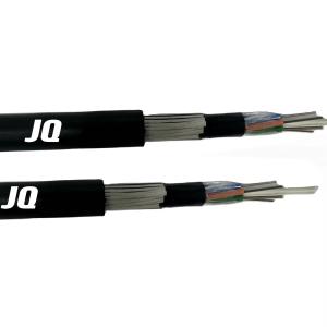 Wholesale GYFTY63 Anti-Rodent Fiber Optic Cable Outdoor Non-metallic Strength Member Cable Rat-proof from china suppliers