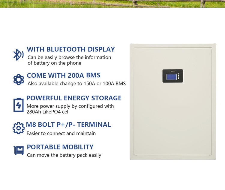 51.2V 200ah 10kwh Wall Mounted LiFePO4 Battery Residential Energy Storage Solar Lithium 10kwh Powerwall