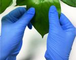 Non Medical FDA Disposable Food Prep Nitrile Gloves