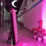 Professional Grade 1000w Infrared Light Therapy Panel for Full Body 660nm Red