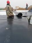 Eco-Friendly Geomembrane for Fish Pond 0.5mm Thickness from Length 50-200m /