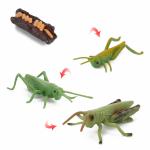 4 PCS Realistic Insect Locust Animal Life Cycle Model Figure Cake Toppers