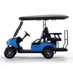 Experience the Best of Golfing with 6.67hp Horsepower and 48V/25A Charger in Our