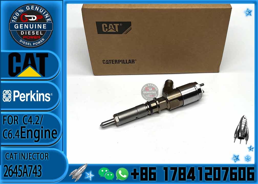 Common Rail Diesel Injector 326-4700 326-4756 326-4740 10R-7951 2645A717 10R-7675 2645A743 317-2300