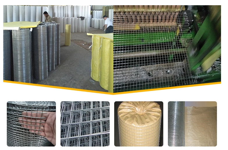 10.5kg Stainless Steel Welded Wire , 1/4inch bird cage wire panels