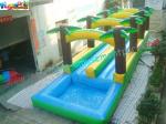 Residential Blow up Slip and Slide , Outdoor Small Inflatable Water Slides for
