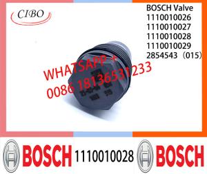 Wholesale Pressure relief valve 1110010026 1110010027 1110010028 1110010029 2854543（015）1110010009 1110010010 1110010011 from china suppliers