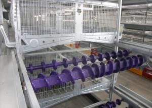 Wholesale 8 Tiers Poultry Farm Feeding System Smooth Surface Save Energy Consumption from china suppliers