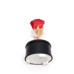 100% Natural Fresh Preserved Rose Glass Dome For Wedding Decoration