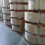 SUS301 Stainless Steel Strip / Stainless Steel Tape Soft Type / Hard Type SS