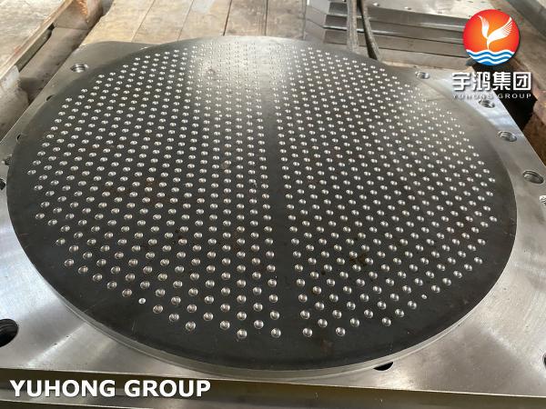 Forged Stainless Steel Tube Sheet For Shell and Tubular Heat Exchanger Fixied