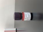 Keypath P16 Protein Marker ICC Immunoassay Test Kit Cervical Cancer Screening