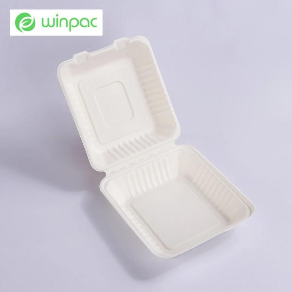 8in White Sugarcane Bagasse Clamshell 3 Compartments Sugarcane Bagasse Food