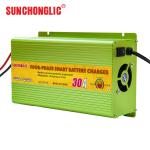 AC 220V AGM GEL Battery Charger Convenient 12v 30 Amp Battery Charger Long