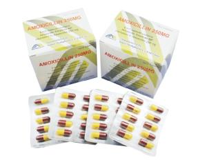 Wholesale Amoxicillin Capsules 250mg 500MG BP / USP /CP Antibiotics Medicines from china suppliers