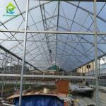 OEM Agricultural PC Sheet Greenhouse