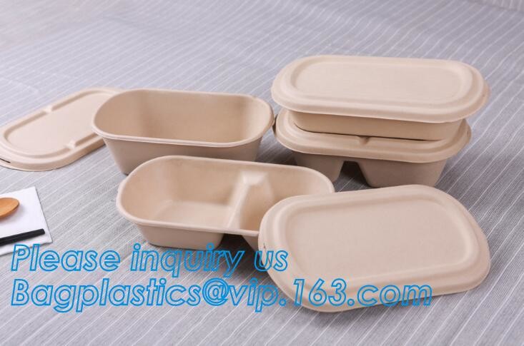 Premium Meal Prep Containers 3 Compartment BPA-FREE Food storage Microwavable Dishwasher Safe plastic Lunch bento box