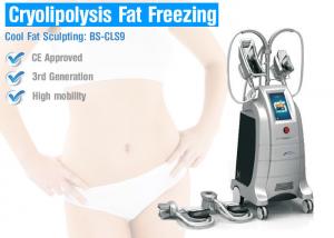 Wholesale Fat Freeze Cryolipolysis Treatment For Body Slimming from china suppliers