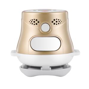Wholesale Mini Pain Relief Massage Machine China Moxibustion Apparatus 60Hz/50Hz from china suppliers