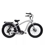 High Torque Fat Tire E-bike 750W Hub Motor 13AH Battery Capacity 45KM Travel