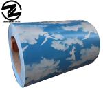 Z121-Z180 Coating Prepainted Hot Dip Galvanized Steel Coil for Metal Roofing