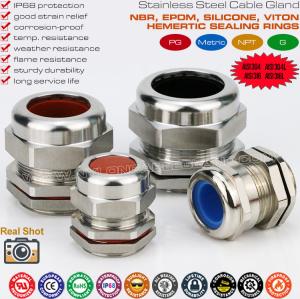 Wholesale Rustless Cable Glands Thread Metric &amp; PG Waterproof IP68 Stainless Steel SUS304, SUS316 and SUS316L from china suppliers