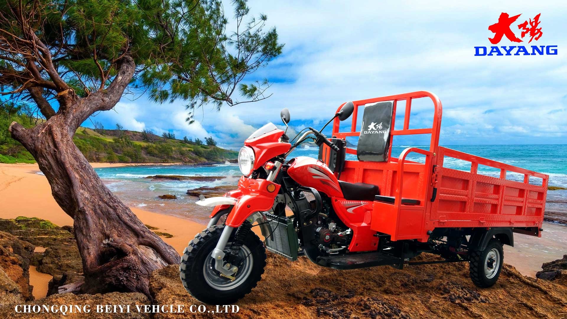 151 200cc Displacement Three Wheel Motorcycle Model at Myanmar with Powerful Engine