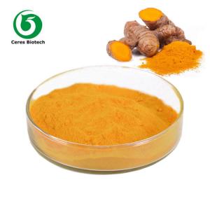 China Natural Turmeric Curcumin Extract 95% for Anti-Inflammatory and Antioxidant on sale